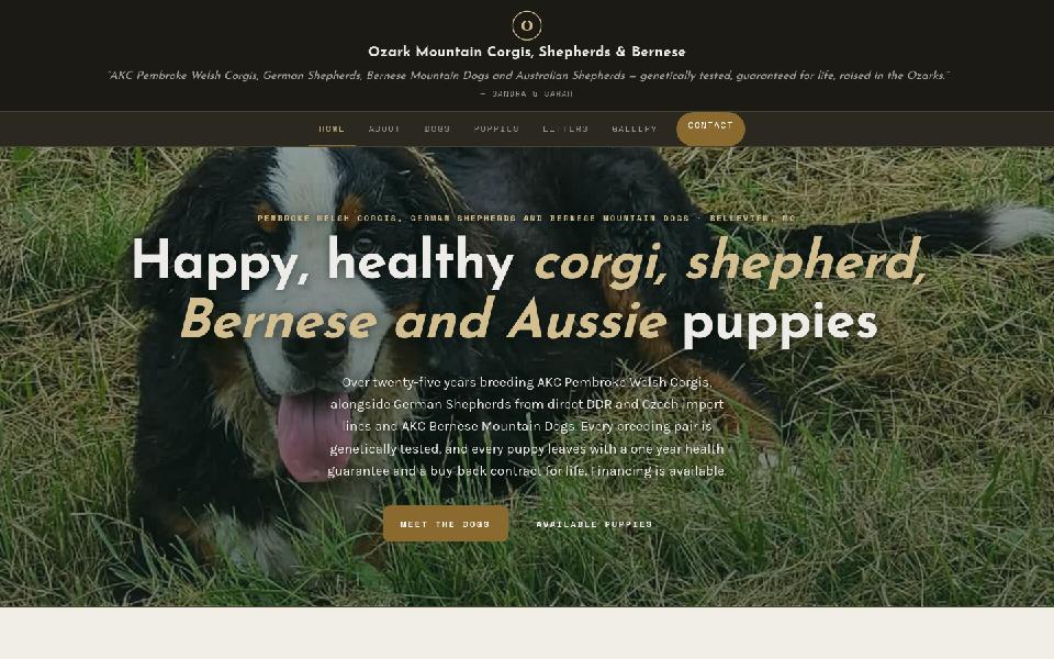 Ozark Mountain Pups homepage: Corgi, German Shepherd and Bernese puppies