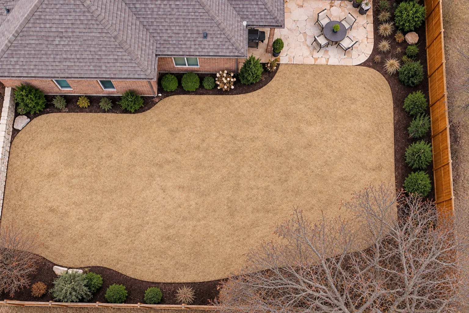 The same backyard in winter