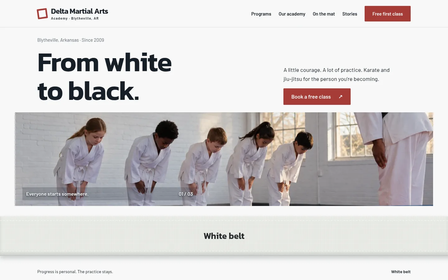 Delta Martial Arts Academy website preview