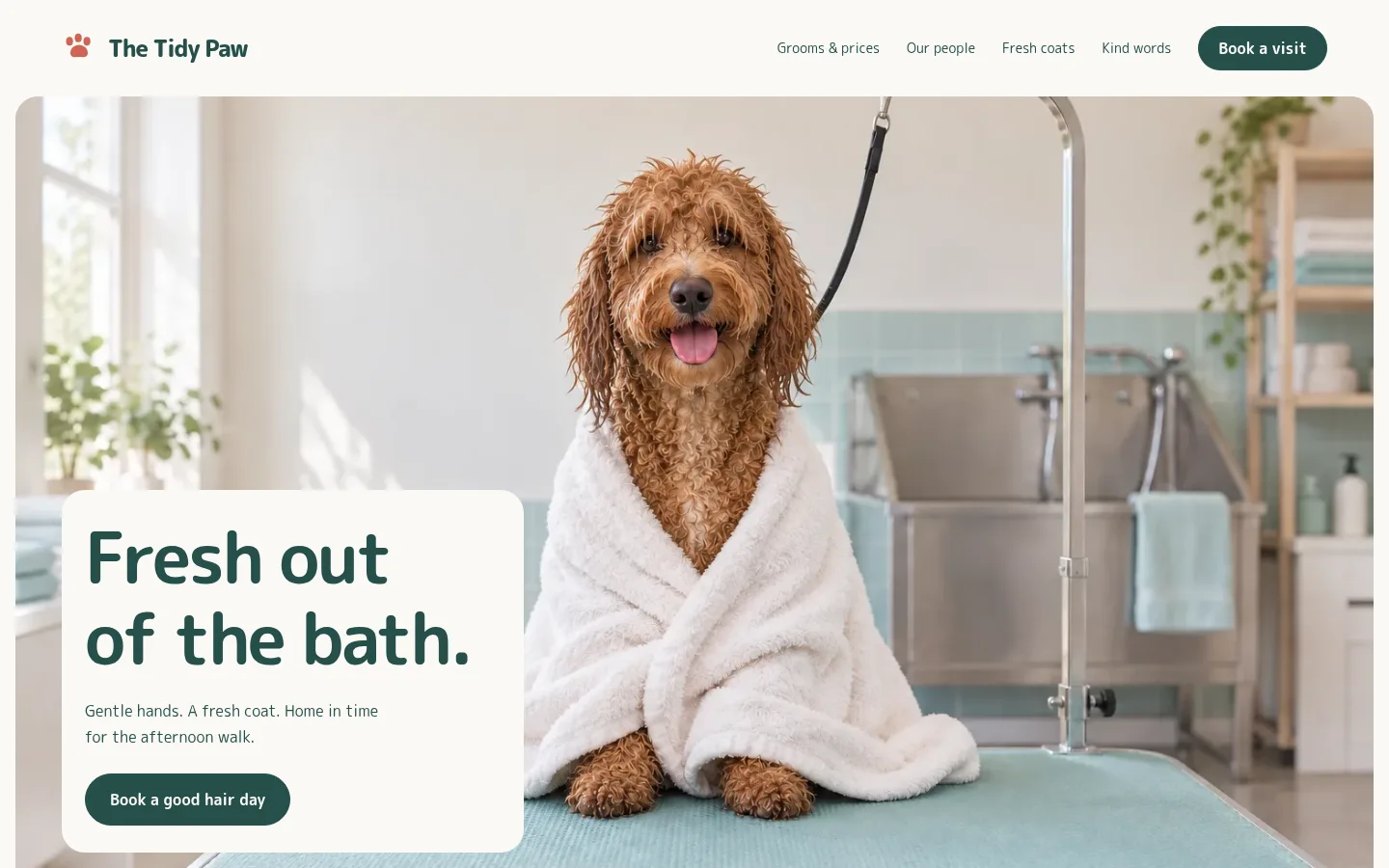 The Tidy Paw website preview