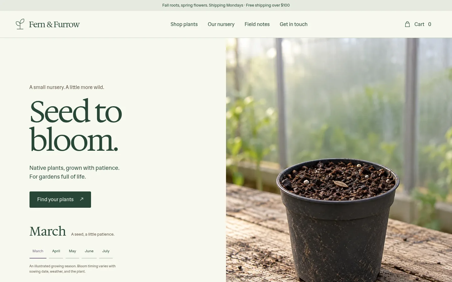 Fern & Furrow website preview